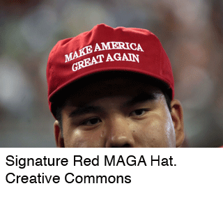 MAGA hat